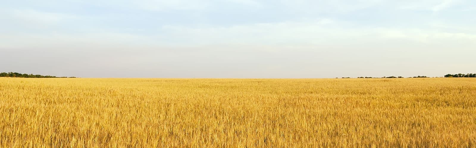 기프티안 메인 비주얼 6